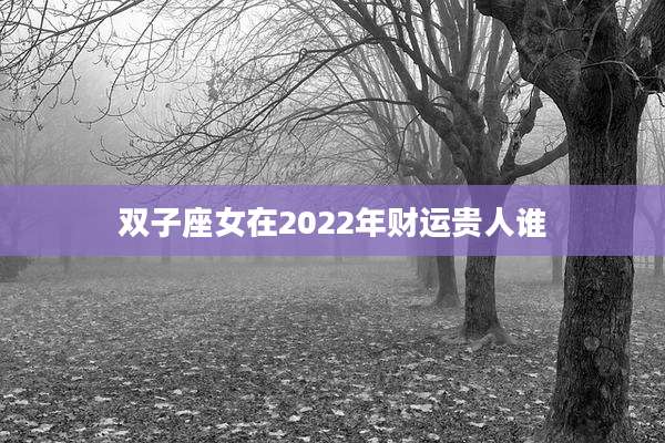 双子座女在2022年财运贵人谁