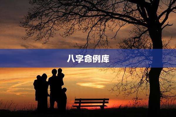 八字命例库