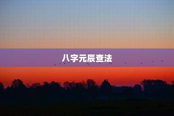 八字元辰查法