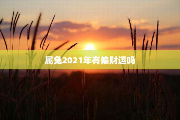 属兔2021年有偏财运吗