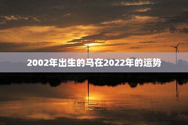 2002年出生的马在2022年的运势