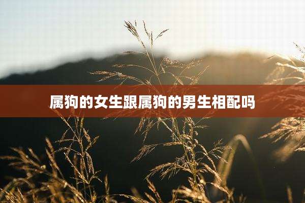属狗的女生跟属狗的男生相配吗