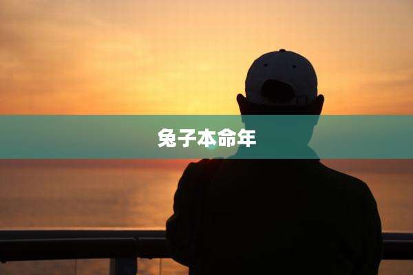 兔子本命年