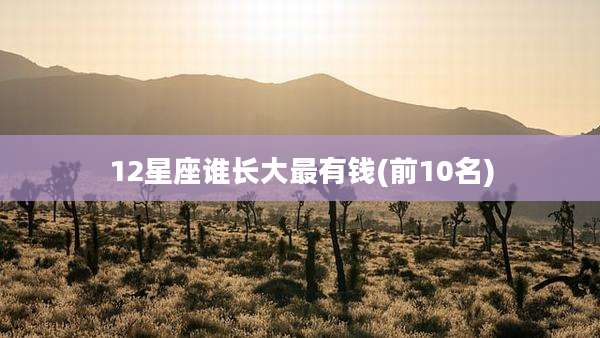 12星座谁长大最有钱(前10名)