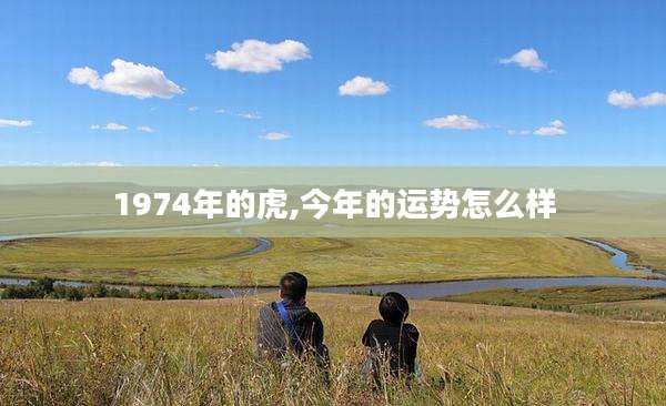 1974年的虎,今年的运势怎么样