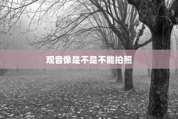 观音像是不是不能拍照
