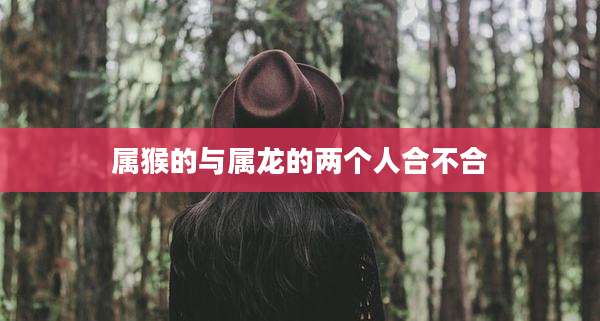属猴的与属龙的两个人合不合