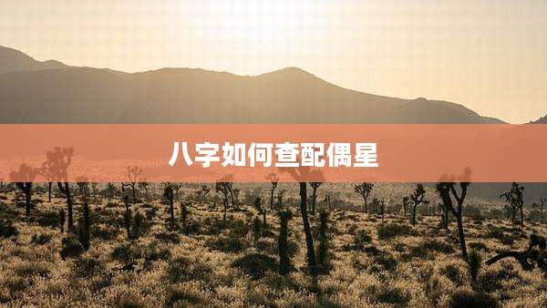 八字如何查配偶星