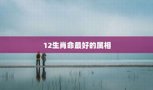 12生肖命最好的属相
