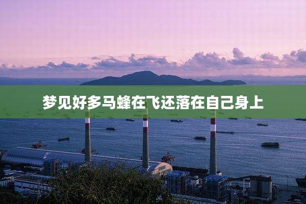 梦见好多马蜂在飞还落在自己身上