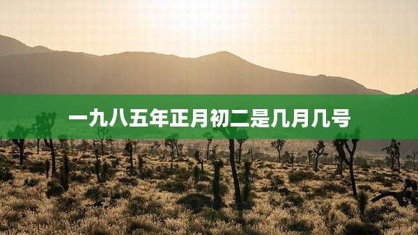 一九八五年正月初二是几月几号
