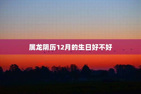 属龙阴历12月的生日好不好