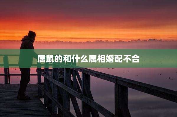 属鼠的和什么属相婚配不合