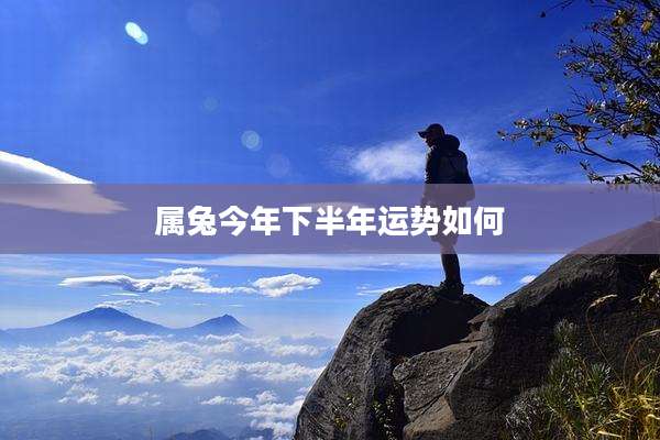属兔今年下半年运势如何