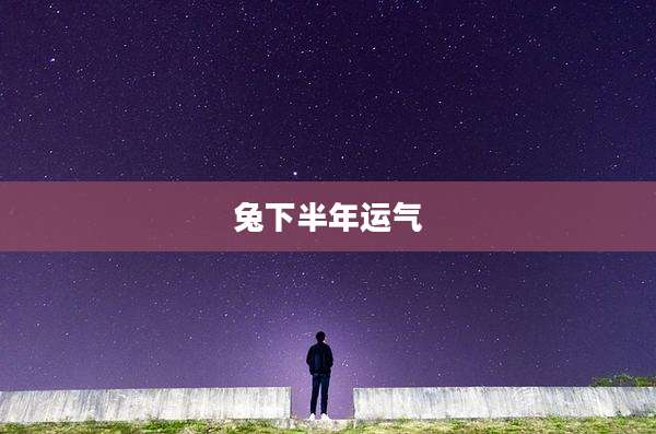 兔下半年运气