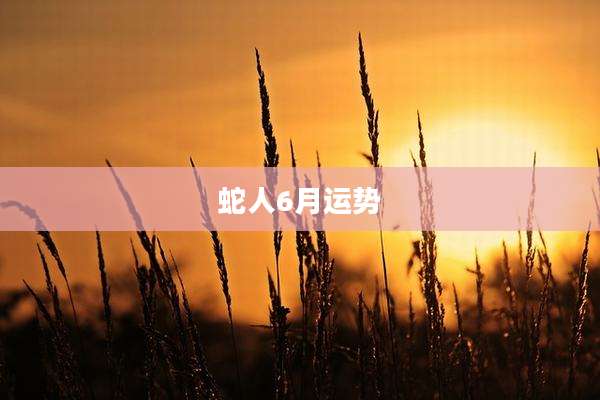 蛇人6月运势