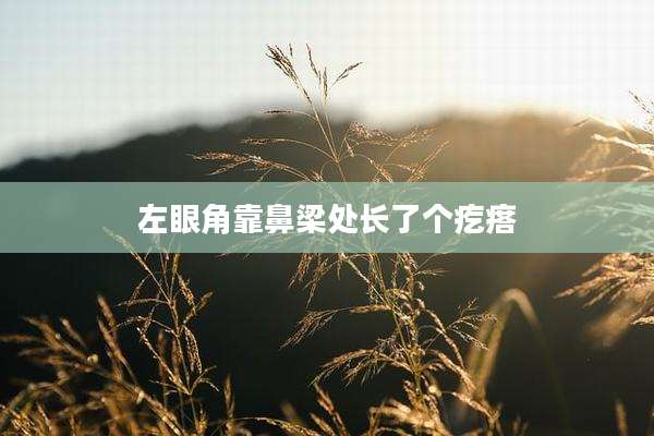 左眼角靠鼻梁处长了个疙瘩