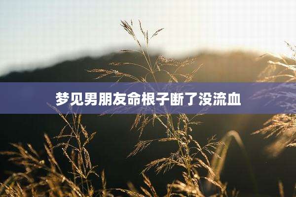梦见男朋友命根子断了没流血
