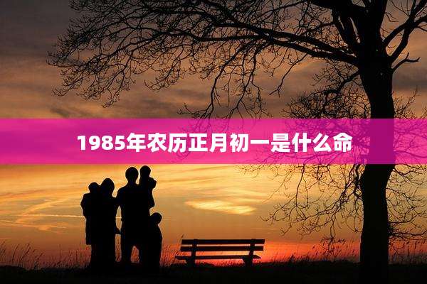 1985年农历正月初一是什么命