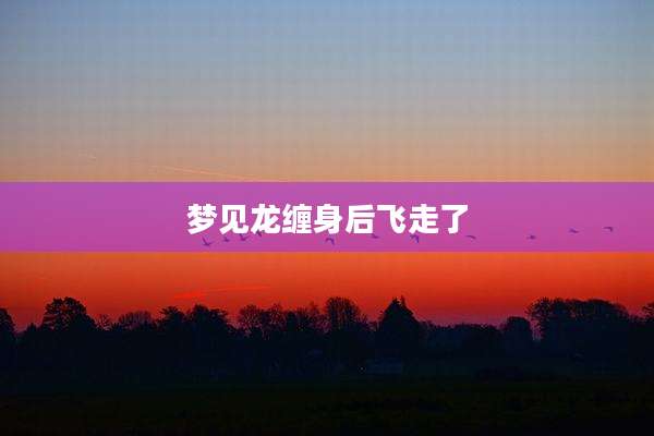 梦见龙缠身后飞走了