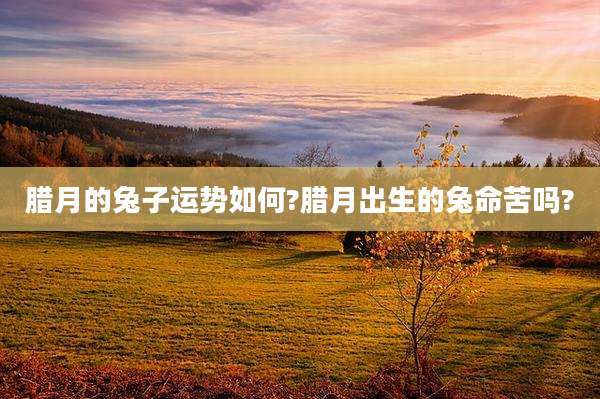 腊月的兔子运势如何?腊月出生的兔命苦吗?
