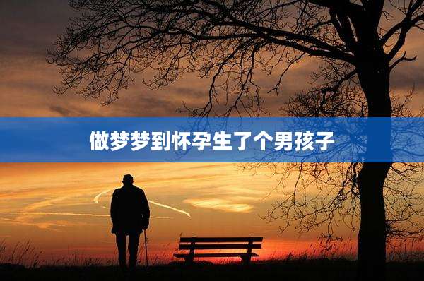 做梦梦到怀孕生了个男孩子
