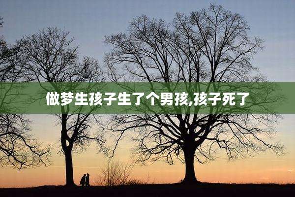 做梦生孩子生了个男孩,孩子死了