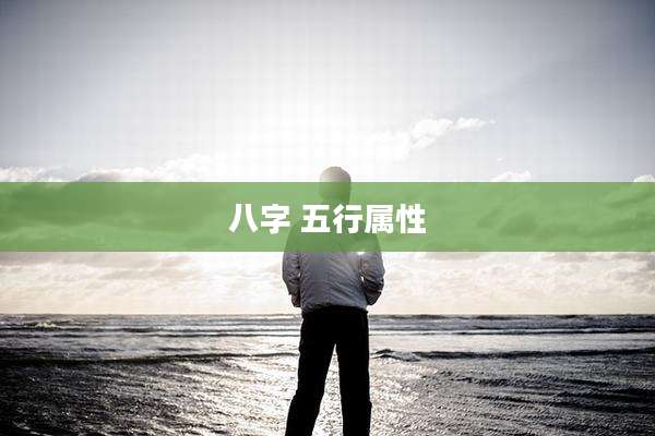 八字 五行属性