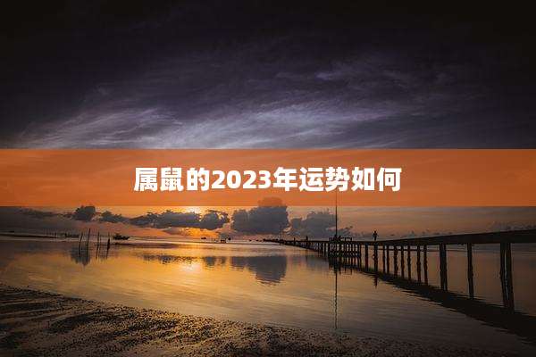 属鼠的2023年运势如何