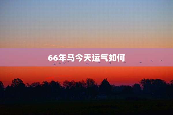 66年马今天运气如何