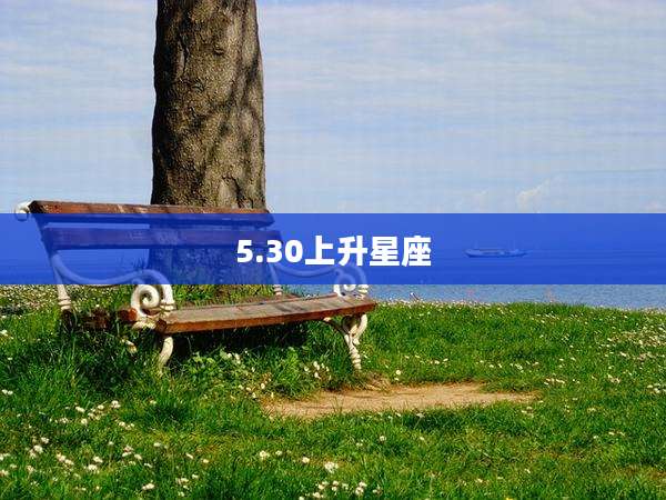 5.30上升星座