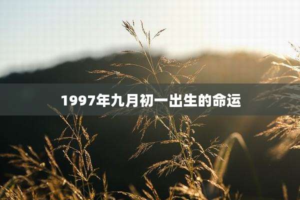 1997年九月初一出生的命运