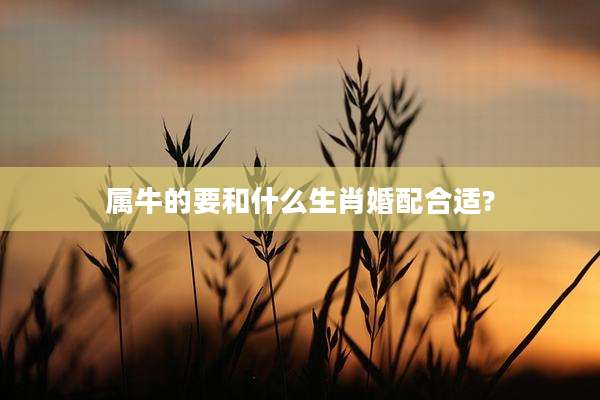 属牛的要和什么生肖婚配合适?