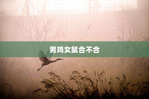 男鸡女鼠合不合