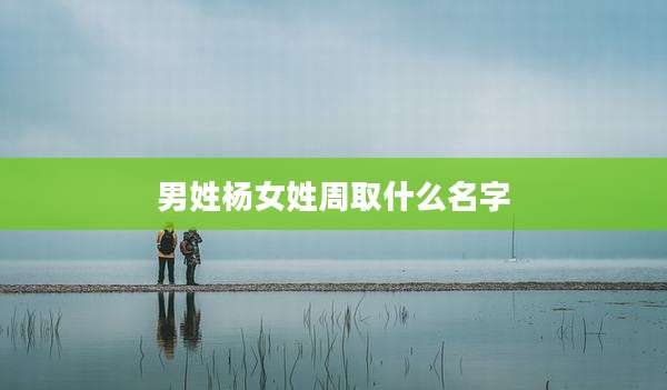 男姓杨女姓周取什么名字