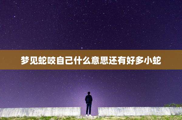 梦见蛇咬自己什么意思还有好多小蛇