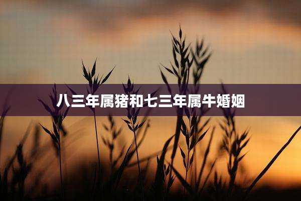八三年属猪和七三年属牛婚姻