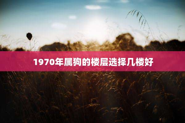 1970年属狗的楼层选择几楼好
