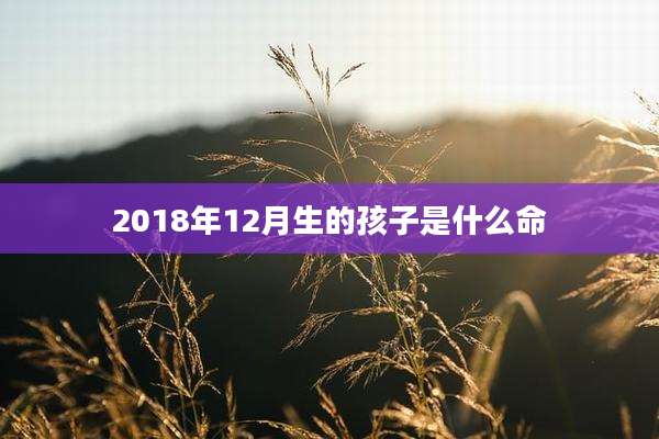2018年12月生的孩子是什么命