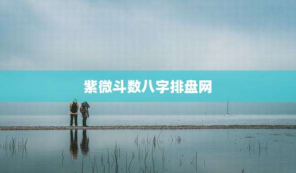 紫微斗数八字排盘网