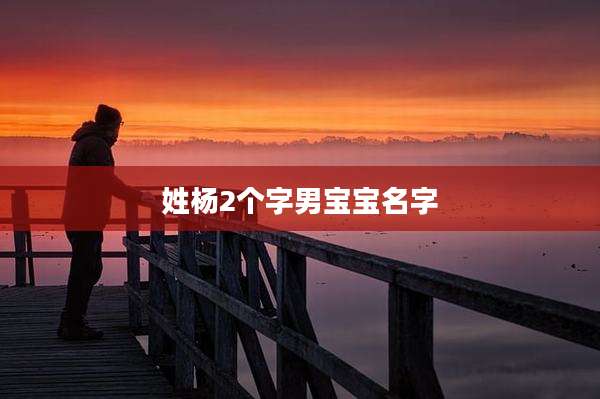 姓杨2个字男宝宝名字