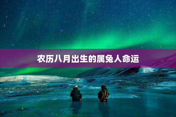 农历八月出生的属兔人命运