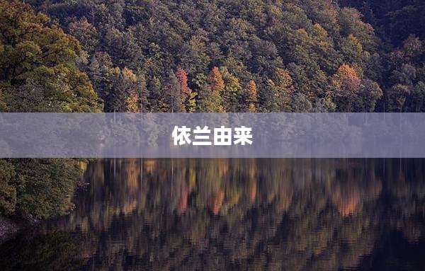 依兰由来