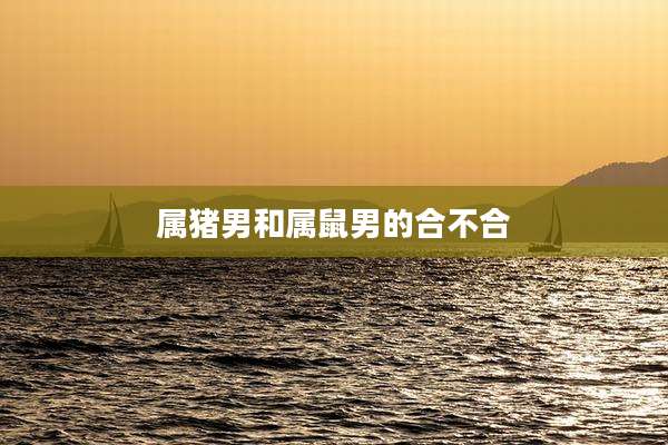 属猪男和属鼠男的合不合