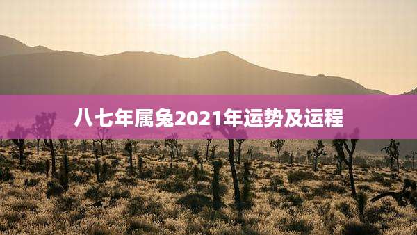 八七年属兔2021年运势及运程