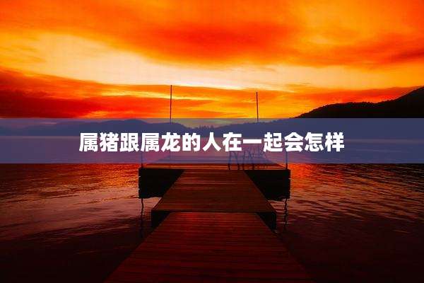 属猪跟属龙的人在一起会怎样