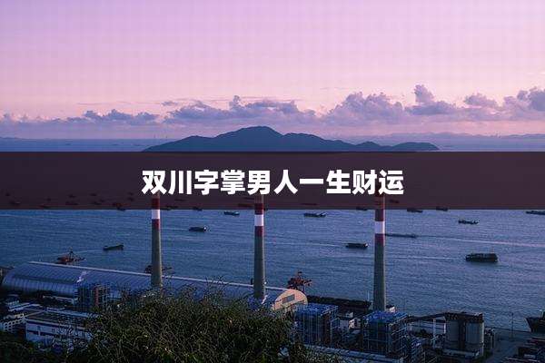双川字掌男人一生财运