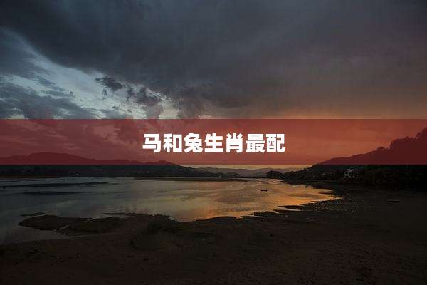 马和兔生肖最配