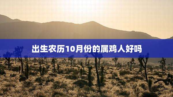 出生农历10月份的属鸡人好吗