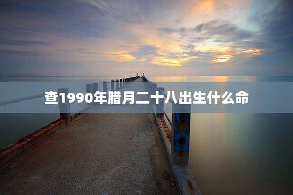 查1990年腊月二十八出生什么命